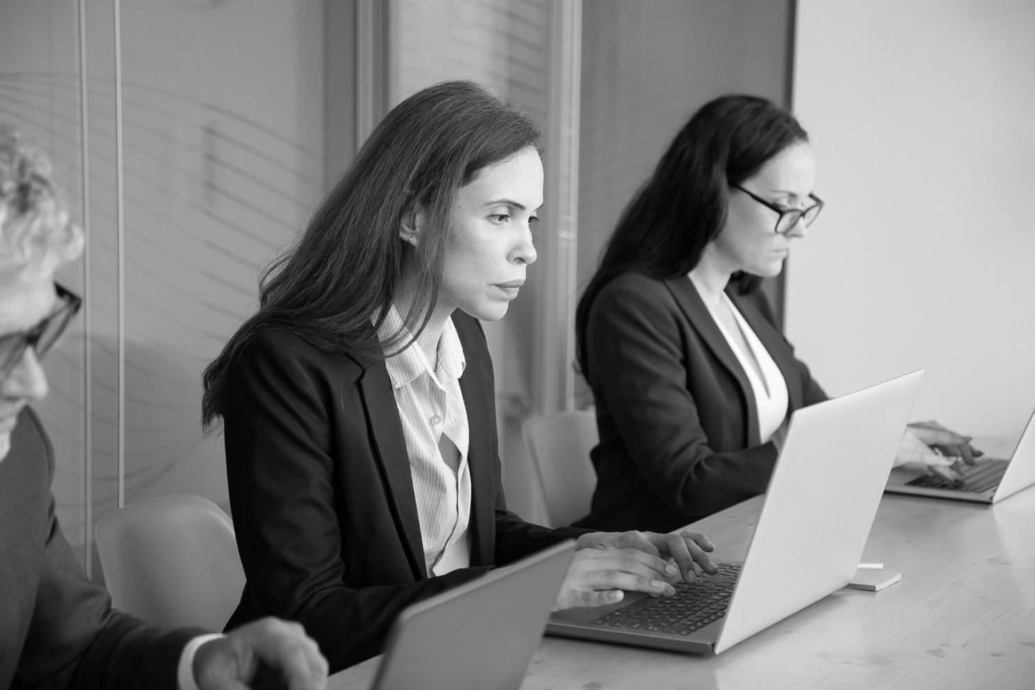 Espacio de trabajo colaborativo del equipo tormelivia